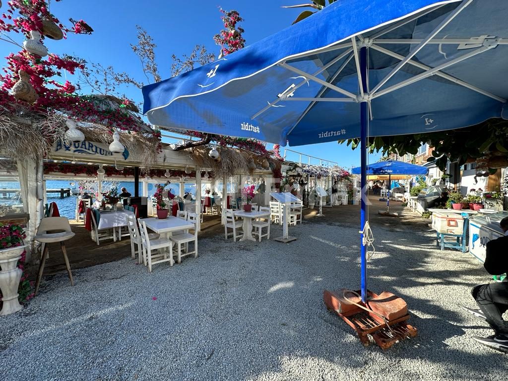 Bodrum Gümüşlük Merkezde Sıfır Dubleks Havuzlu Villalar