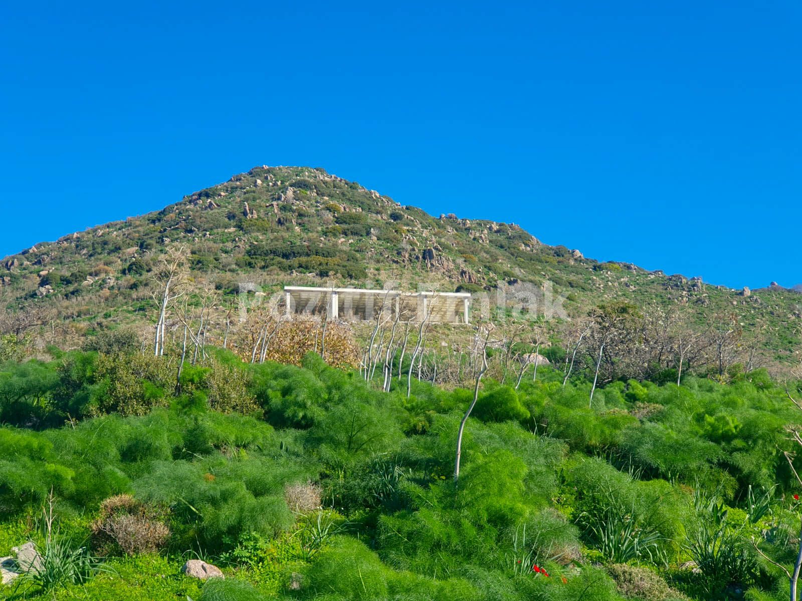 Turgutreis'te Harika Manzaralı Malikane Projesi