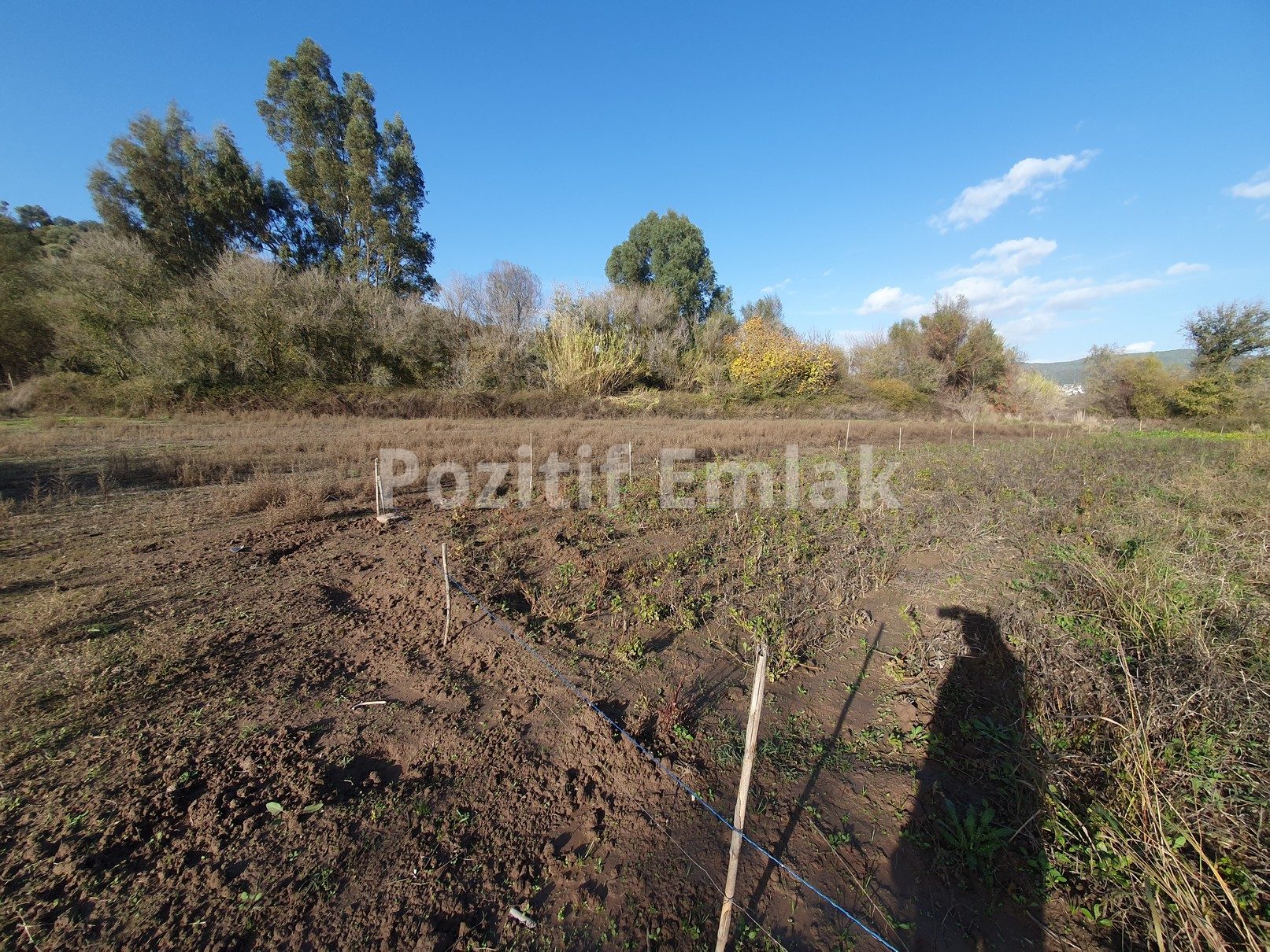Milas Meşelik'te Yola Yakın Tarla